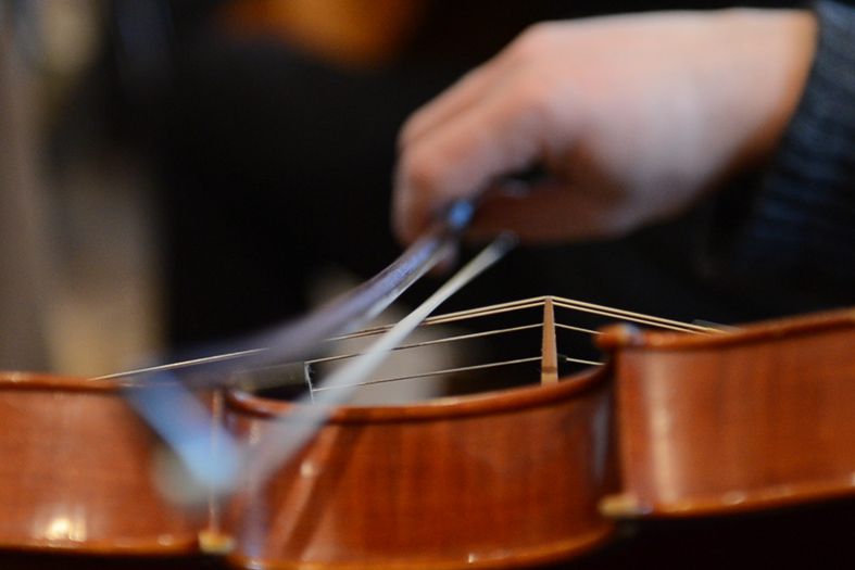 Streicherbogen Sinfonietta Mainz